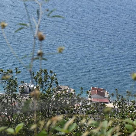 Apartmán Casa Vacanze Luna Letojanni Exteriér fotografie